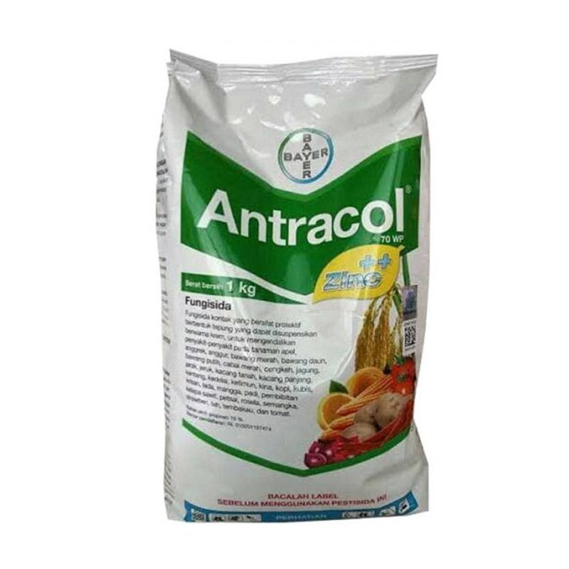 Jual Bayer 70wp Antracol 1 Kg Murah Mei 2021 Blibli