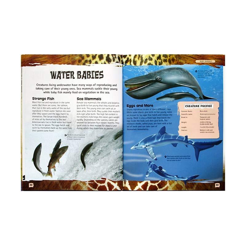 Jual North Parade Publishing Discover Baby Animals Wonders Of