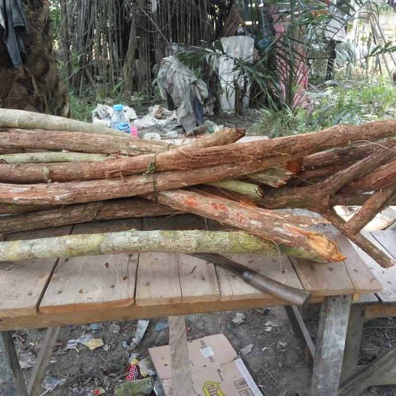 Jual 1kg Obat Kanker Dan Tumor Bajakah Asli Kalimantan Lengkap Denagn Sertifikat Karantina Online Oktober 2020 Blibli Com