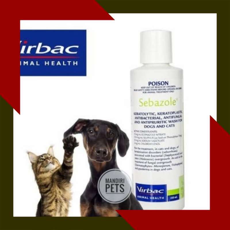 Sebazole online dog shampoo