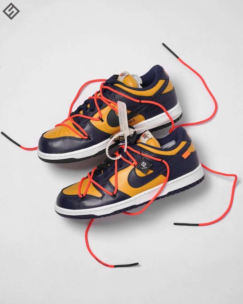 michigan nike dunk low