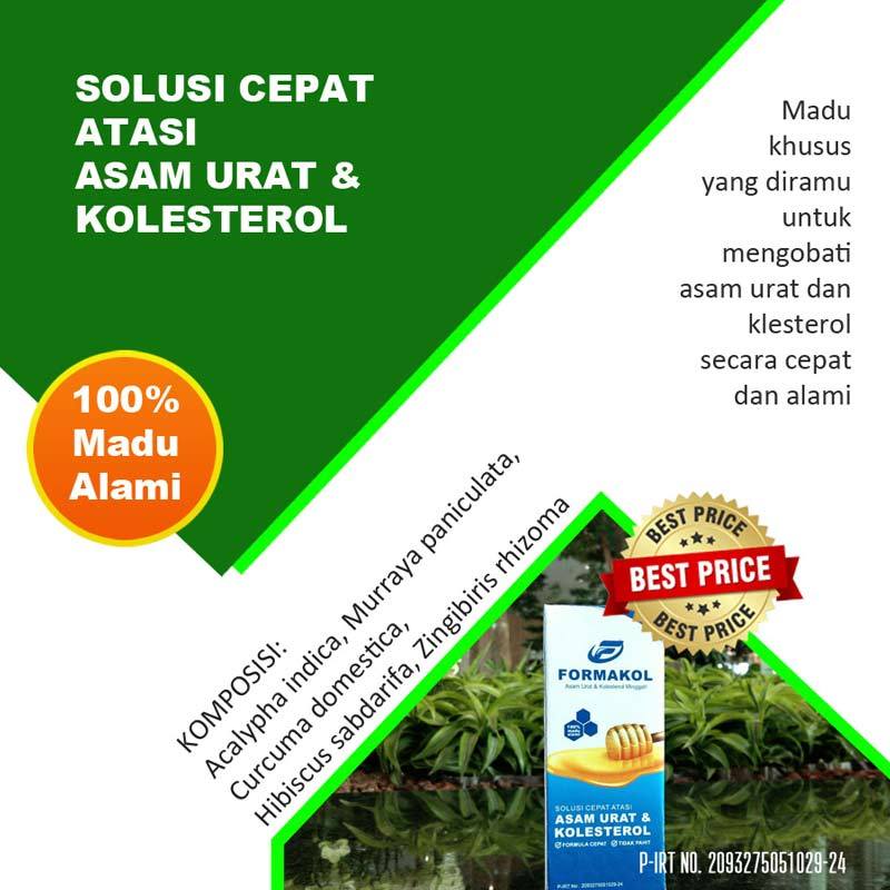 Jual Formakol Madu Atasi Asam Urat Dan Kolesterol Obat Herbal Online Februari 2021 Blibli