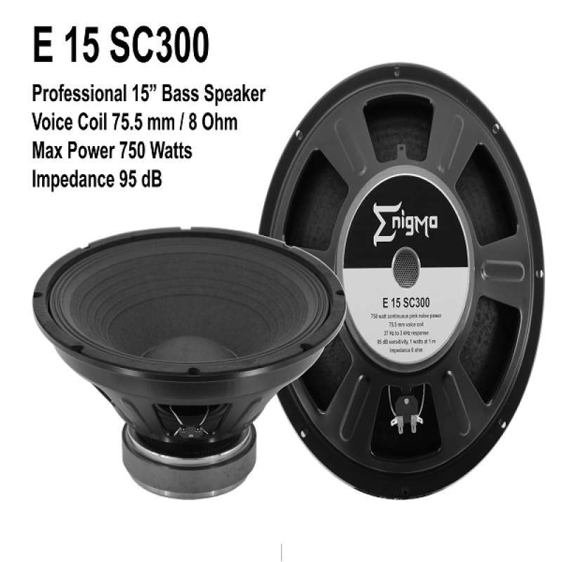 Speaker enigma 15 inch online