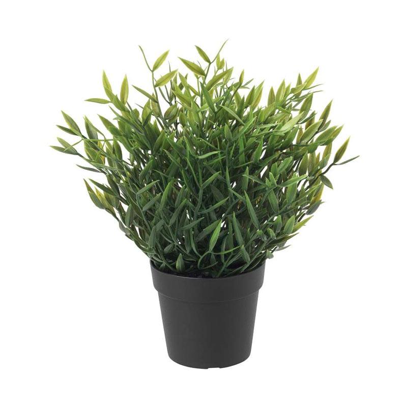 Jual Ikea Fejka Pogonatherum Tanaman Tiruan Online September 2020 Blibli Com