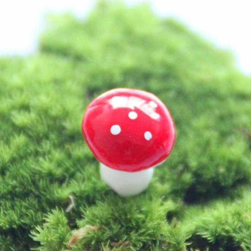 Jual Lans Mini Red Mushroom Garden Ornament Miniature Plant Pots Fairy Diy Dollhouse Landscape Bonsai Plant Gardening Decor 50 Pcs Online September 2020 Blibli Com