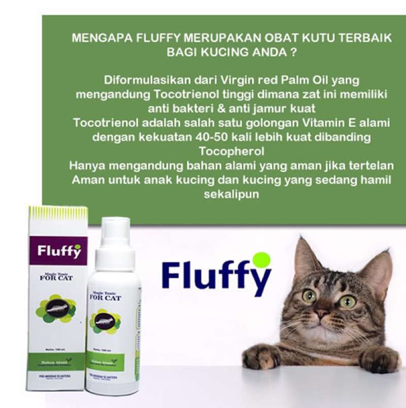 Jual Fluffy Obat Kutu Kucing 60 Ml Online September 2020 Blibli Com