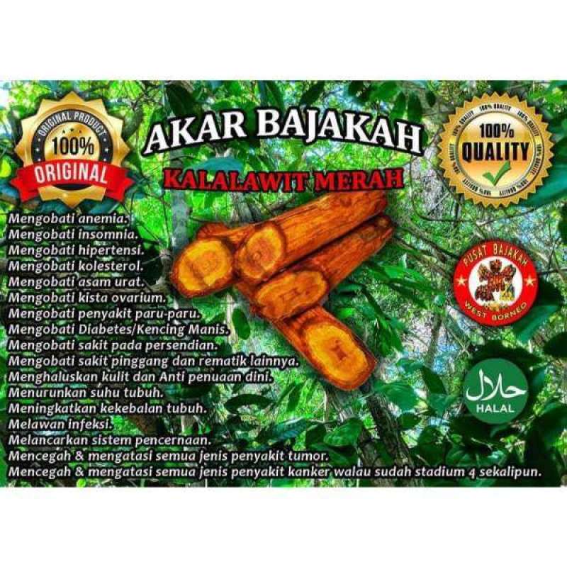 Jual Akar Bajakah Kalalawit Merah Kalimantan Asli Termurah 200gr Online Oktober 2020 Blibli Com