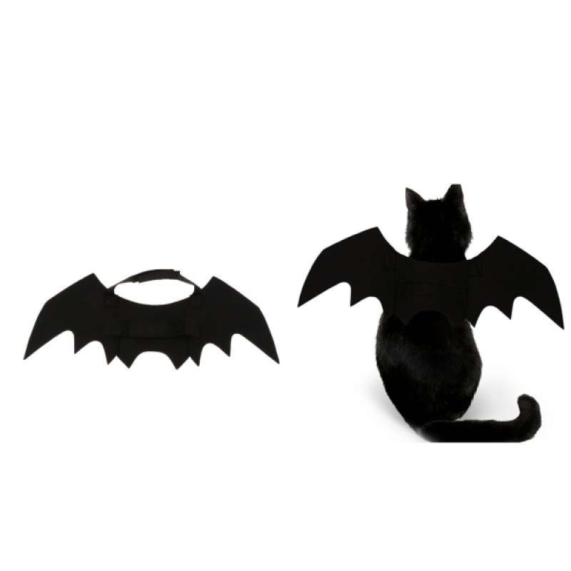 cat bat costume