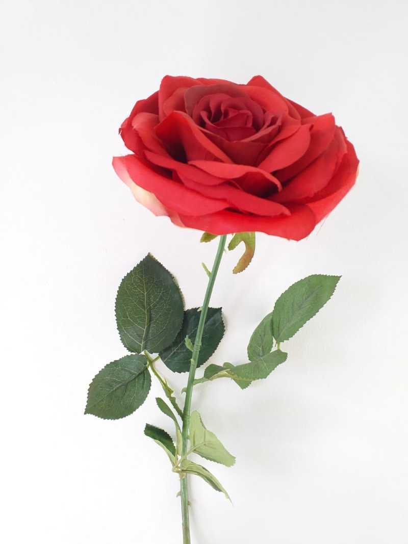 Jual Bunga Satuan Artificial Rose Mekar Jumbo X 1 Online Februari 2021 Blibli