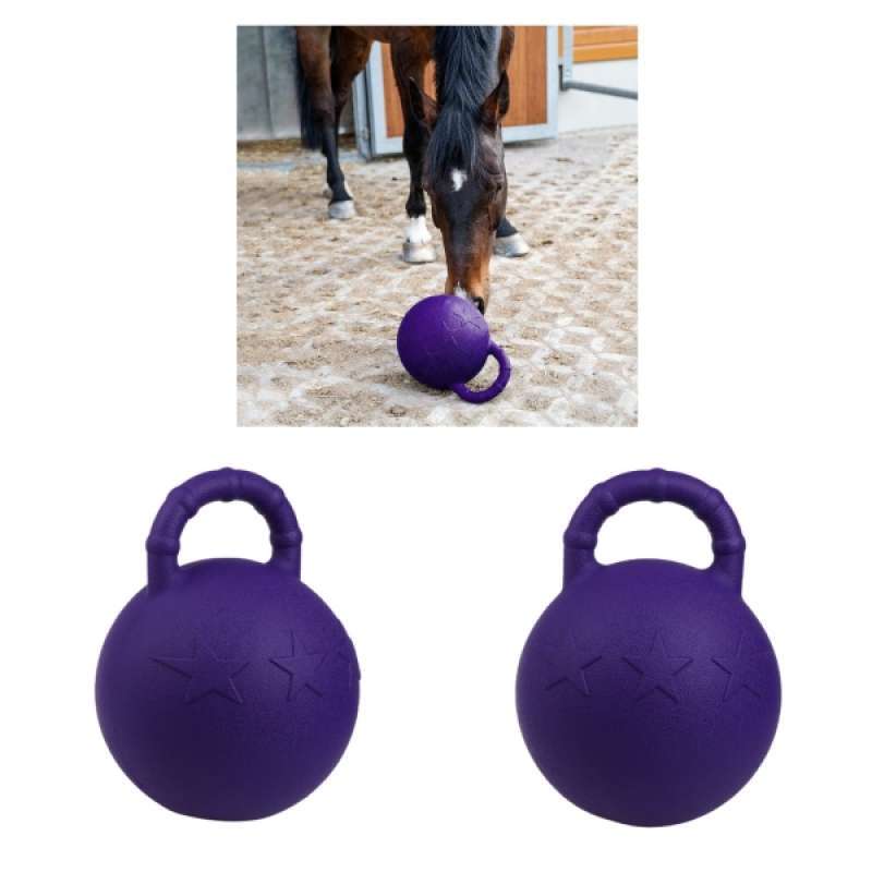 Equine Horse and Pony Jolly Play Ball Apple Scented with Handle 