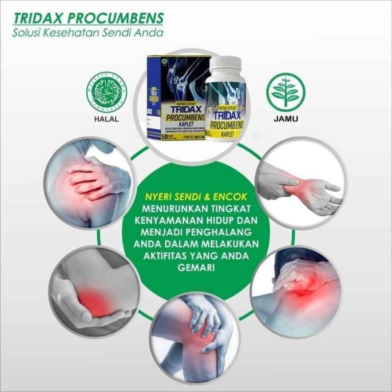 asimas herbal extract tridax procumbens obat asam urat rematik nyeri sendi dan encok 50 kaplet