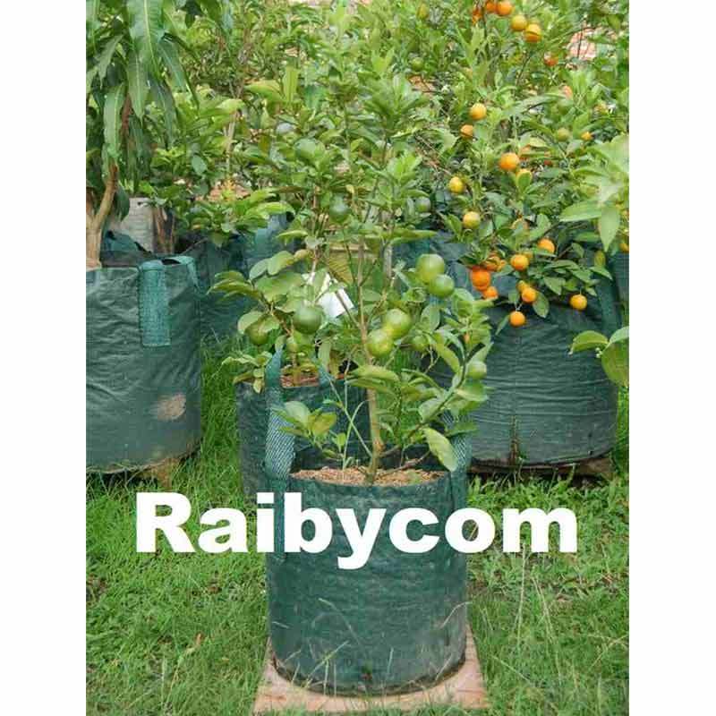 Jual Planter Bag 30 Liter Easy Grow Planterbag Pohon Buah Besar 30l Online Januari 2021 Blibli Terima ecer dan grosir planter bag. planter bag 30 liter easy grow planterbag pohon buah besar 30l