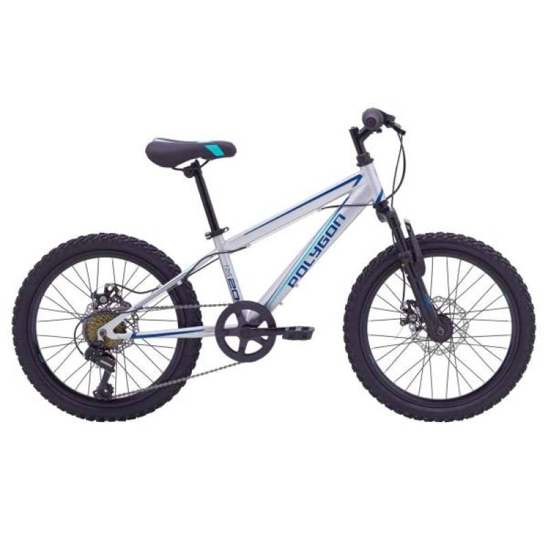 Polygon mtb 20 store