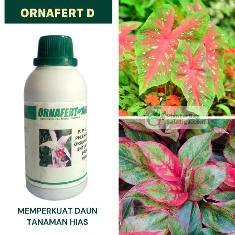 Jual Ornafert D Mempercepat Tumbuh Daun Pupuk Cair Tanaman Hias Aglonema Online Maret 2021 Blibli