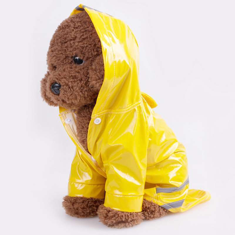 yellow dog raincoat