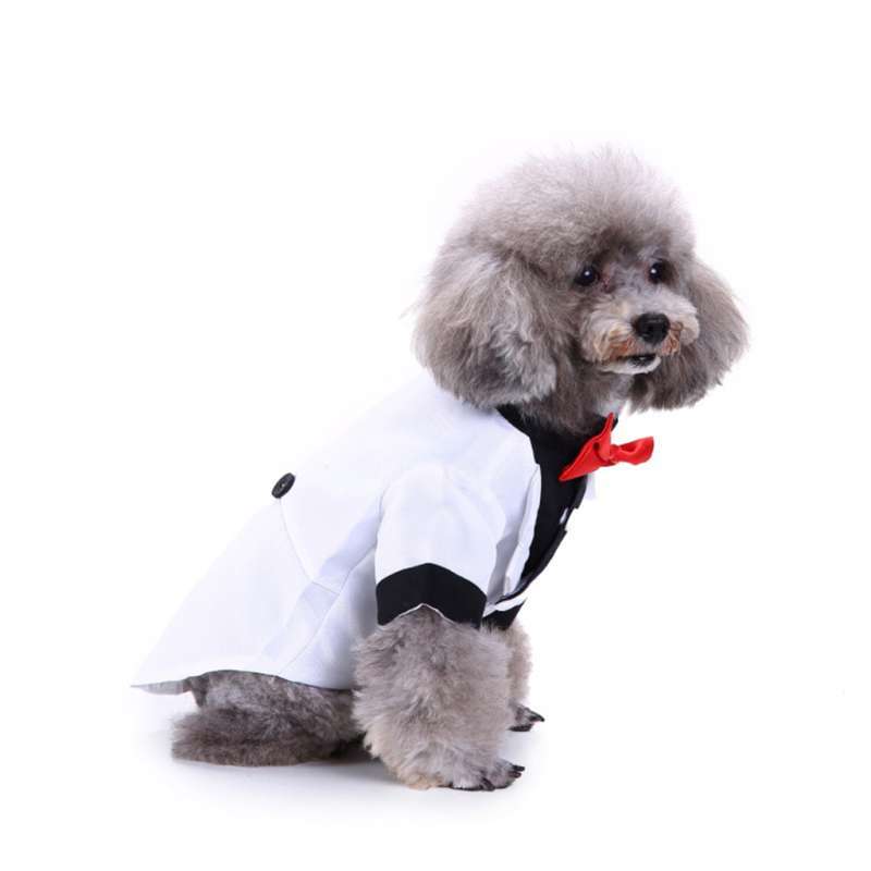 White dog clothes Clearance