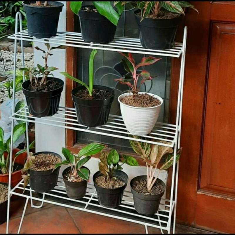 Rak Besi Pot Bunga 3 Susun Tanaman Hias Planter Minimalis Hitam Terbaru Agustus 2021 Harga Murah Kualitas Terjamin Blibli