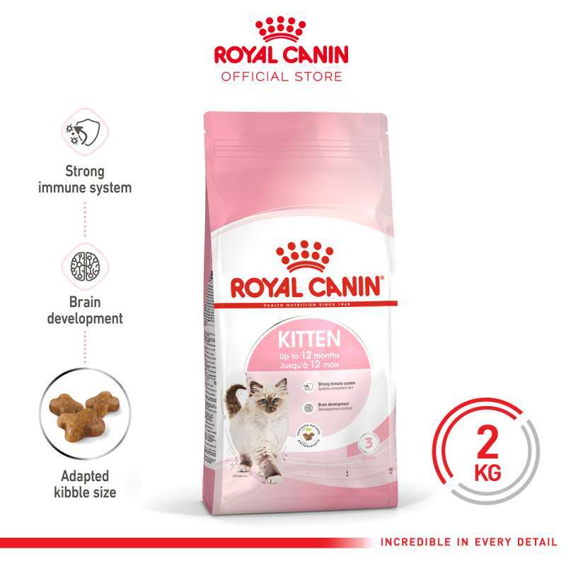 Canin sales royal kitten