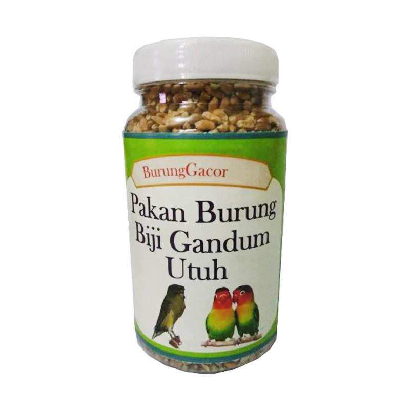 Jual Burung Gacor Lovebird Kenari Merpati Biji Gandum Utuh Pakan