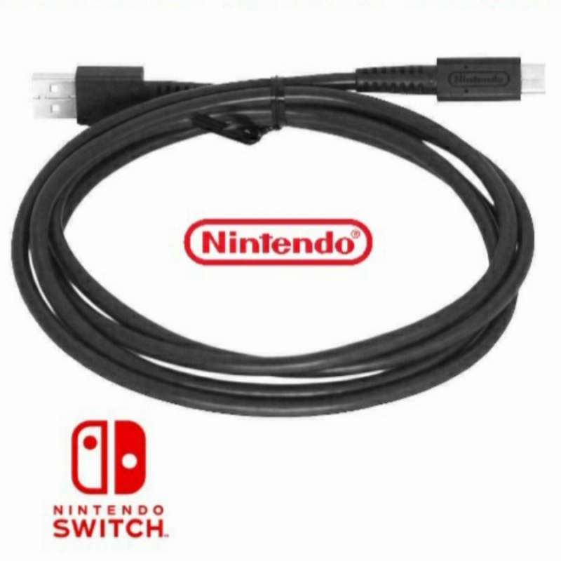Kabel Data USB Type C Fast Charging Cable Nintendo Switch Original