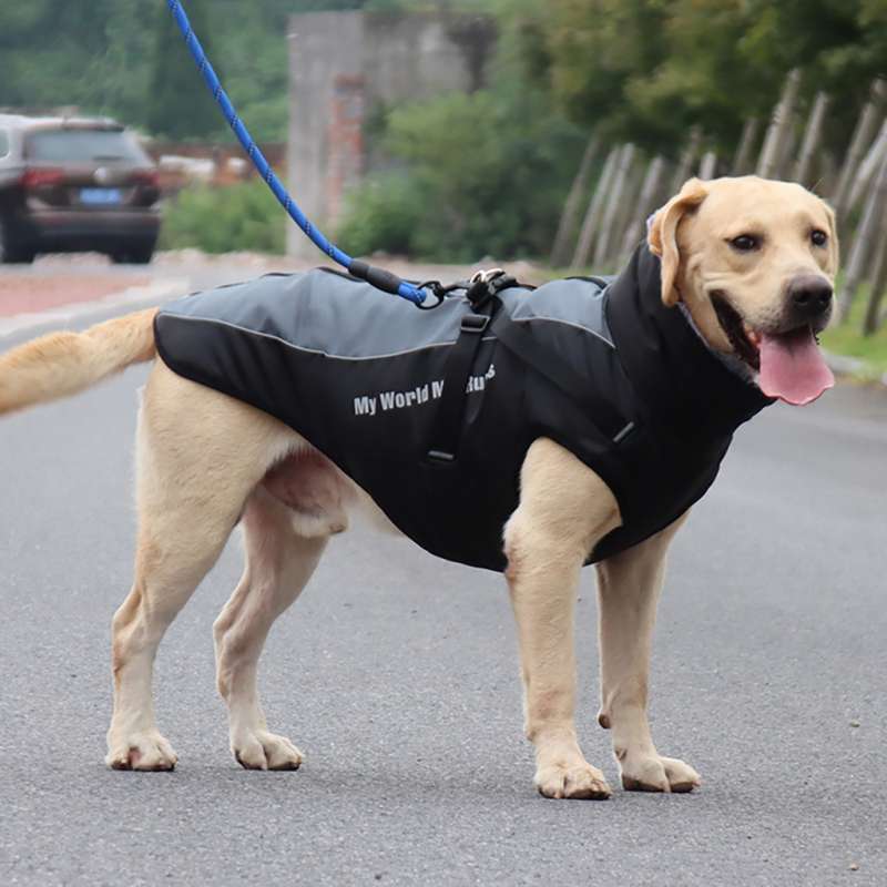 pressure jacket for dogs