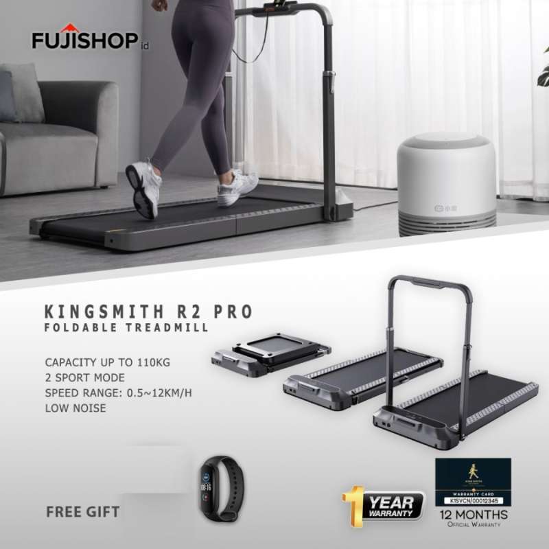 KingSmith WalkingPad R2 2024年購入