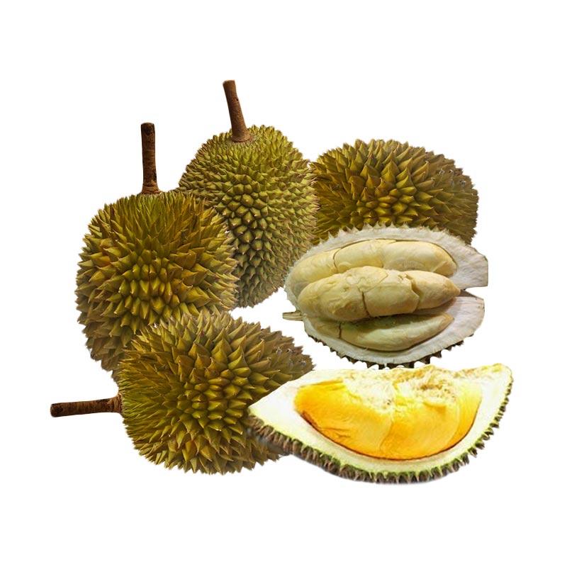 Download 5500 Gambar Durian Medan  Gratis