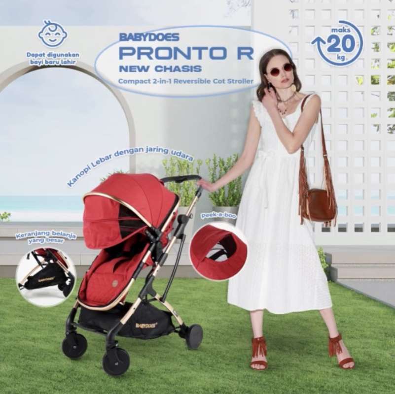 stroller cabin size reversible