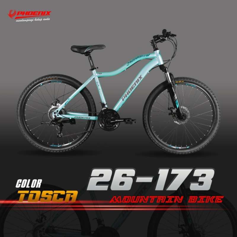 Phoenix mtb 26 2025
