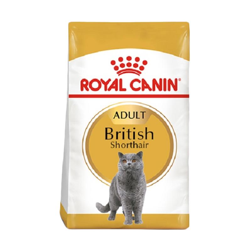 Jual Royal Canin Adult British Shorthair Makanan Kucing Dewasa