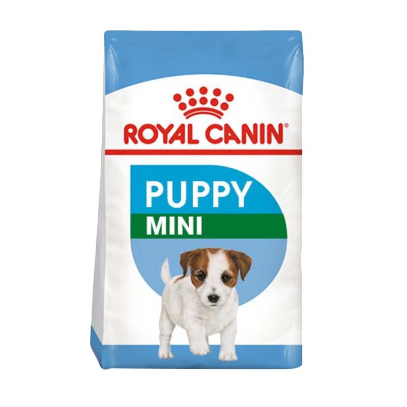 royal mini puppy
