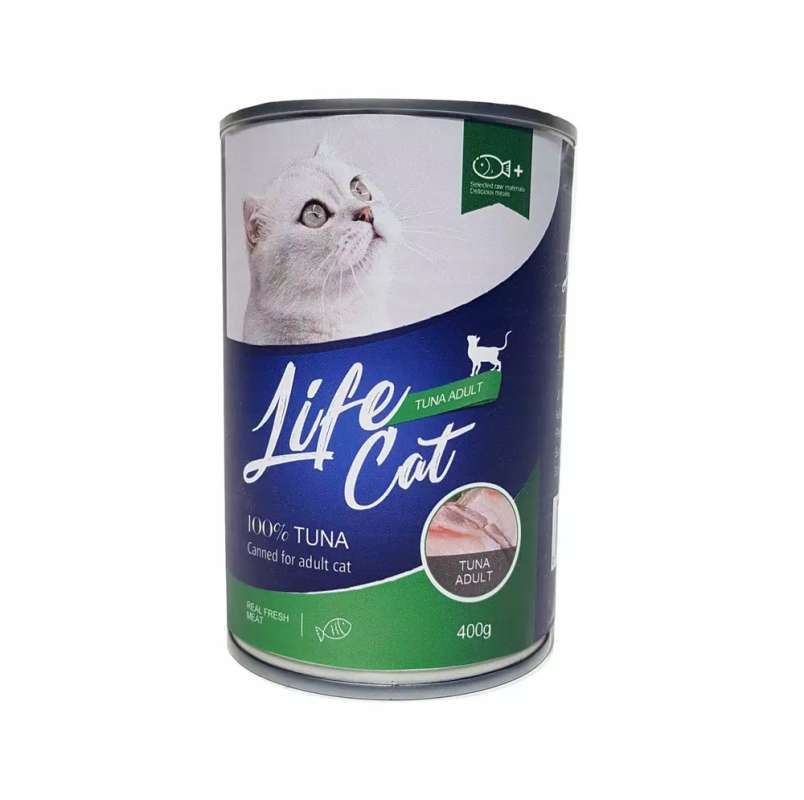 Wet outlet food kucing