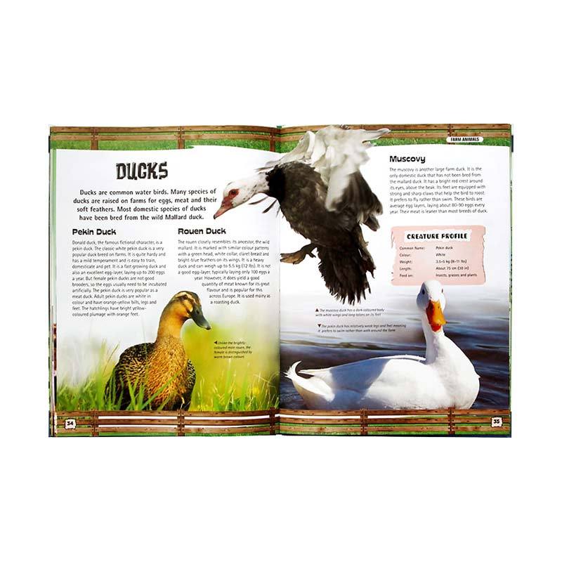 Jual North Parade Publishing Discover Farm Animals Wonders Of Learning Reference Book Mainan Edukasi Anak Online September 2020 Blibli Com