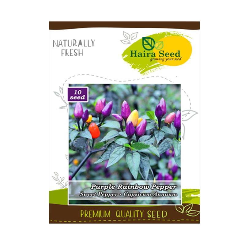 Jual Haira Seed Benih Bibit Cabe Hias Pelangi Purple Rainbow Murah