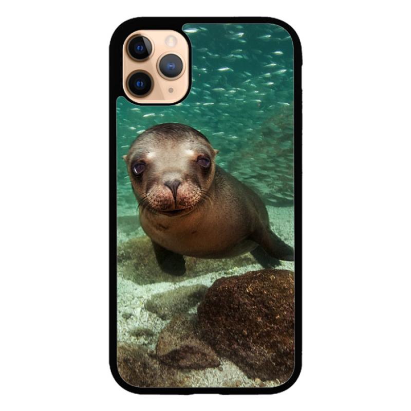 Jual Bearded Sea Lion Wallpaper Y1523 Casing Iphone 11 Pro Max