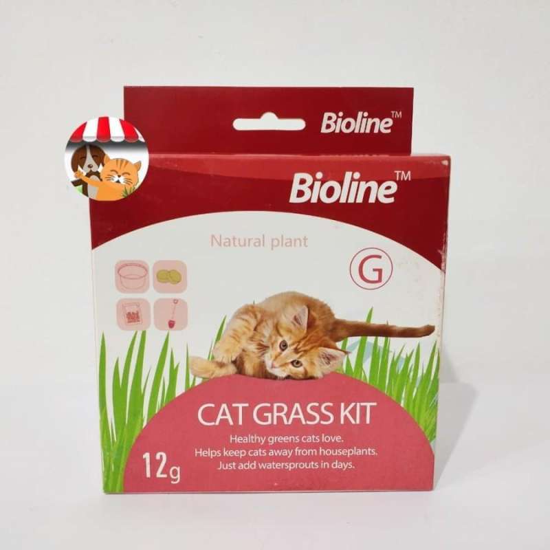 Cat grass hot sale kit bioline