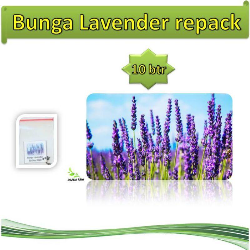Jual Cap Panah Merah Bunga Lavender Bibit Tanaman 10 Seed Online