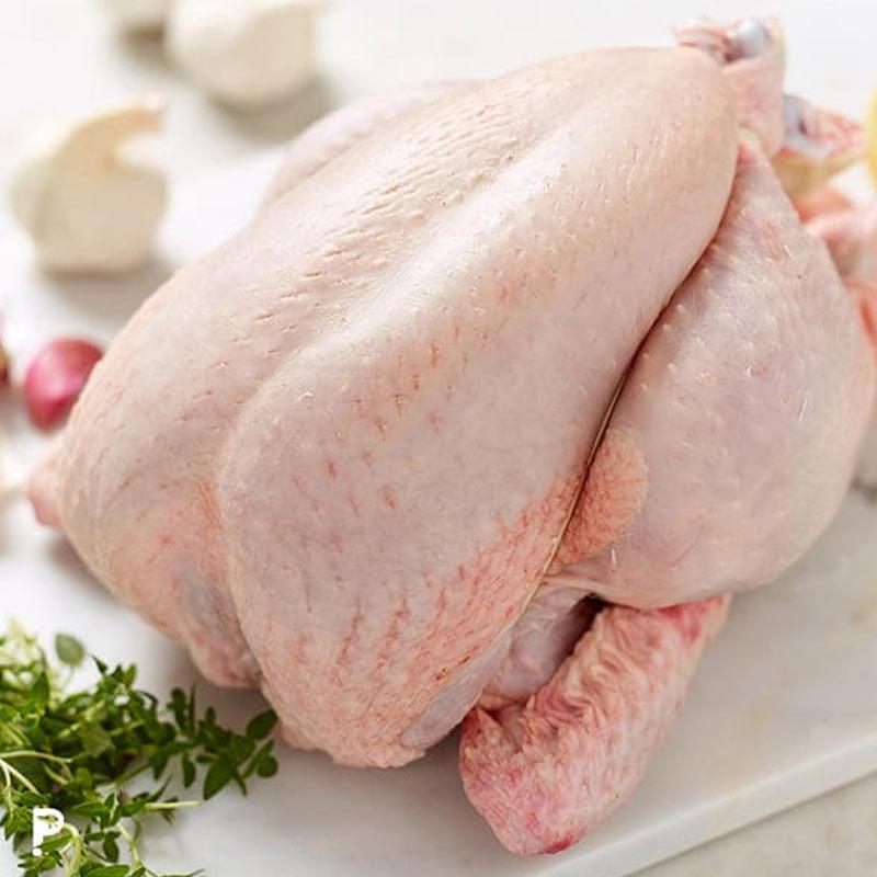 Jual Pasarbali Id Ayam Kampung Medium Size Potong 1 Ekor Denpasar Online Januari 2021 Blibli