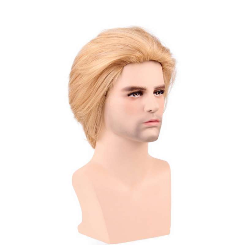 Jual OEM Custom Handsome Short Straight Hairstyle Layered Texture Men's Wig  Blonde di Seller Homyl - China | Blibli
