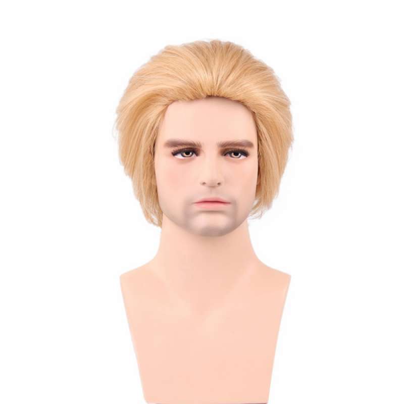 Jual OEM Custom Handsome Short Straight Hairstyle Layered Texture Men's Wig  Blonde di Seller Homyl - China | Blibli