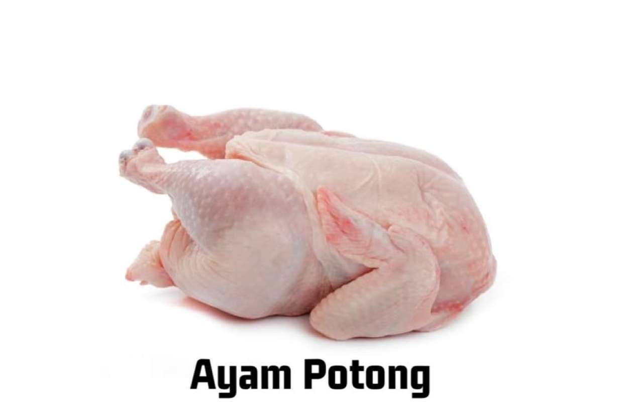 Jual Onlinefresh Id Ayam Potong 3 Ekor Online Mei 2021 Blibli