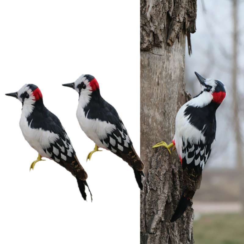 Promo 2X Realistic Artificial Animal Feather Garden Figure Woodpecker Bird  Decor Diskon 33% di Seller Homyl - China | Blibli