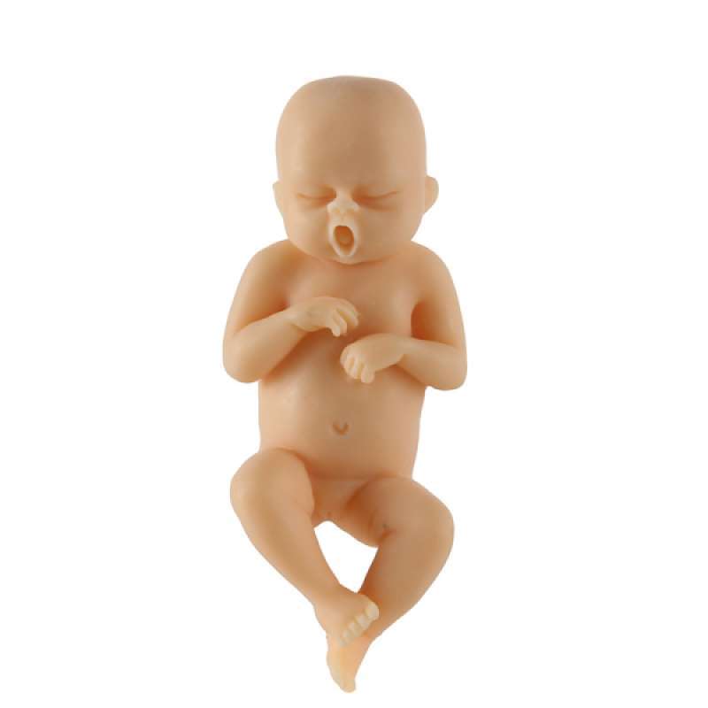 Newborn 2.95" Full Body Resin  Lifelike Bath Toy 