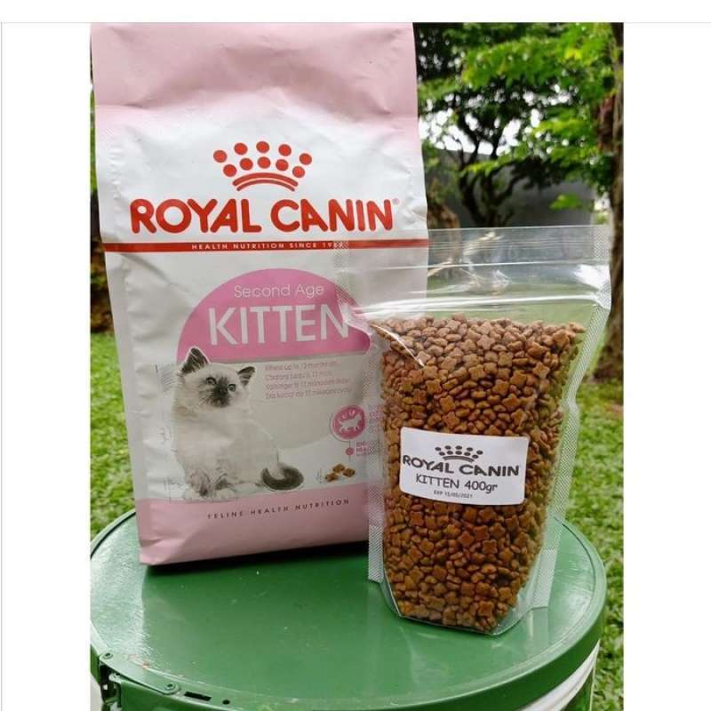 2nd age on sale kitten