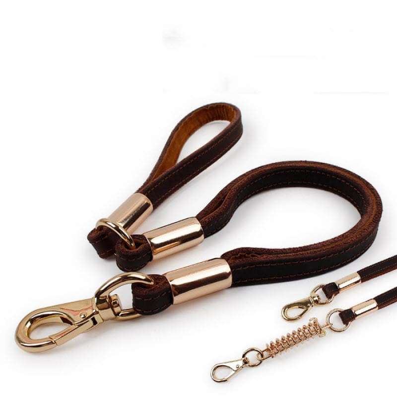Jual Tali Tuntun Anjing Kulit Harness Exclusive Dog Leash Leather Online Desember 2020 Blibli