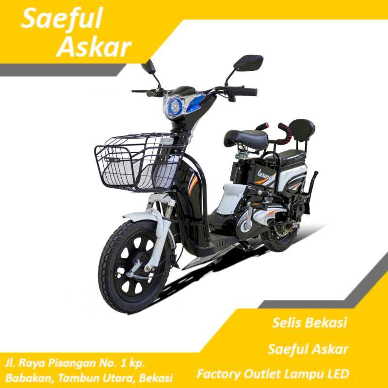 Richey e bike online