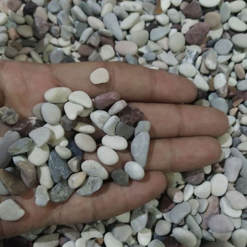 63+ Dekorasi Aquarium Dari Batu HD Terbaik