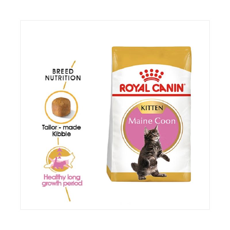Jual Royal Canin Kitten Maine Coon Makanan Anak Kucing Dry 2 Kg