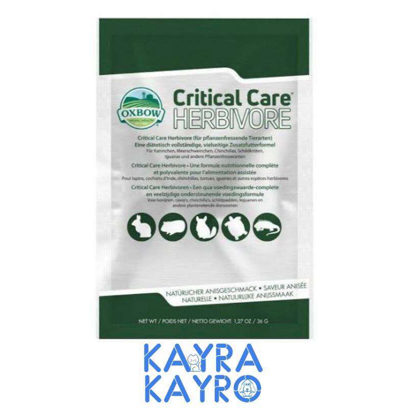 Oxbow critical care hamster store