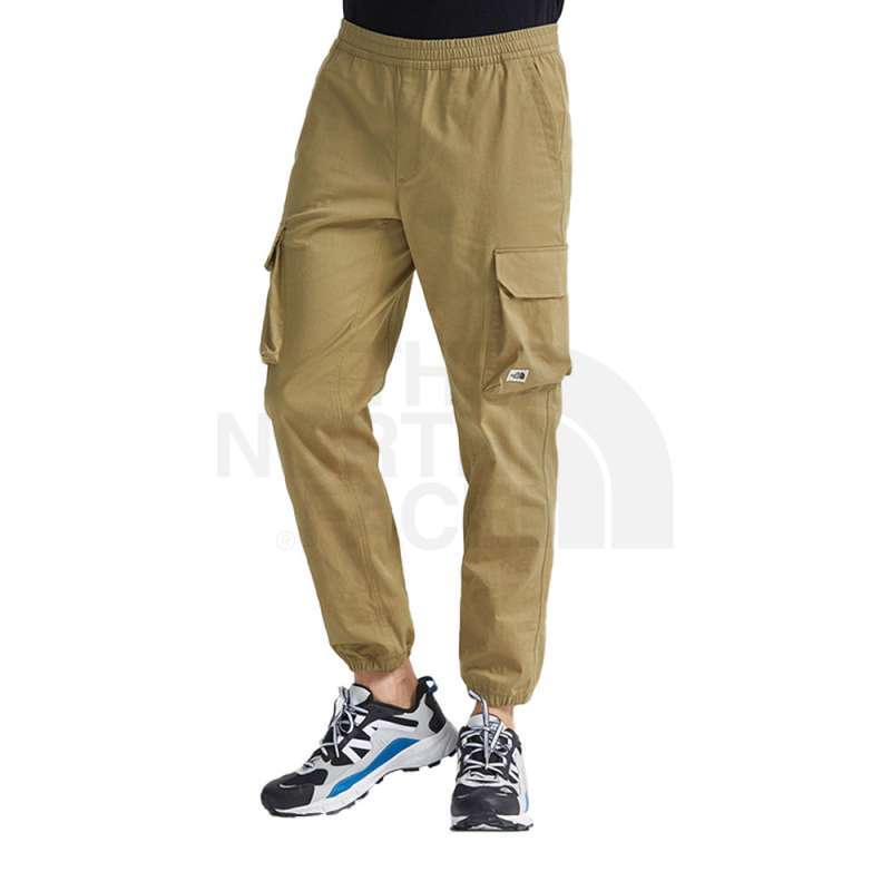 Mens north best sale face cargo joggers